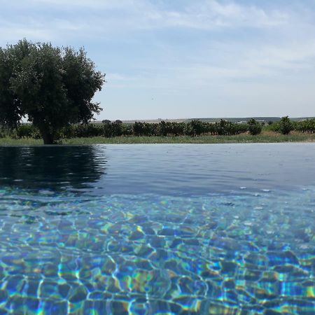 Terras - Agroturismo & Vinhos Beja Exterior foto